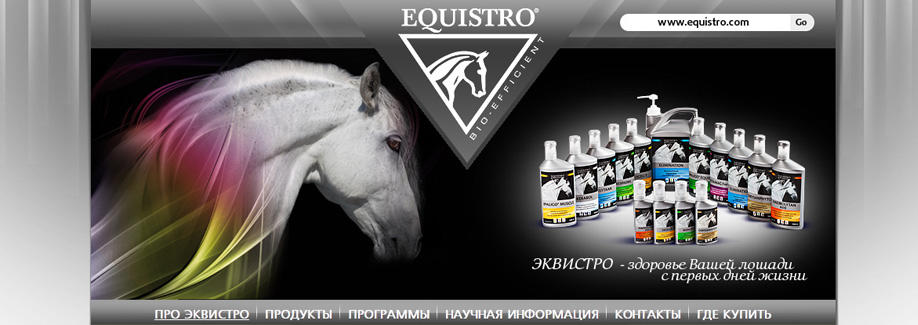 Создание сайта-каталога производителя лекарств для лошадей "Equistro"
