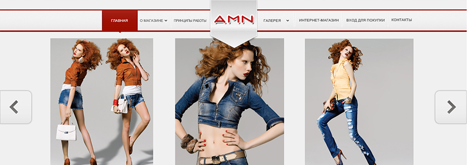 Дизайн сайта AMN